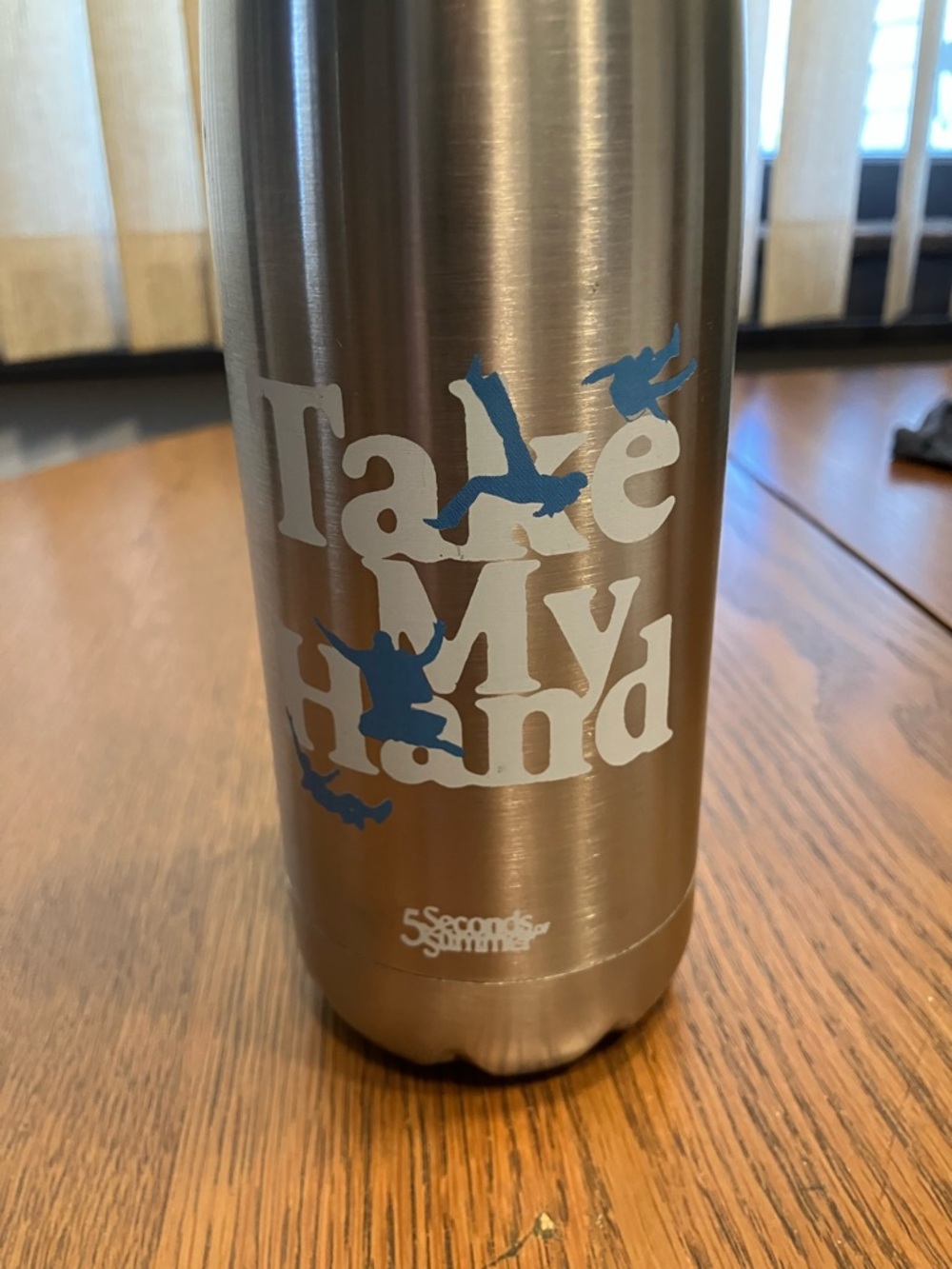 5 Seconds Of Summer 2022 Take My Hand Concert Insulated Water Bottle NWOT - Picture 2 of 6